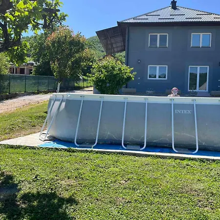 Ali * Krivoglavci